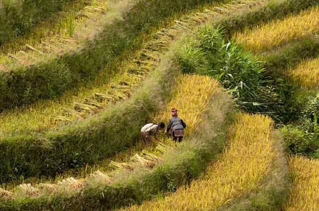 Sapa Trek Three Day Itinerary
